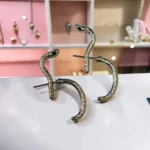 ARETES DE SERPIENTE PLATEADAS